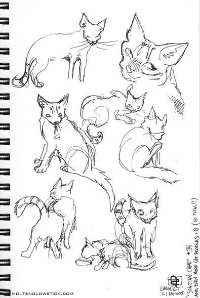 Spartan Camp #34 - 50 gestures + Optional Study of "macho gesture" Spartan Camp #34 - 50 gestures + Optional Study of "macho gesture"