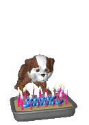 http://i86.photobucket.com/albums/k101/daisysistah/birthday_dog_jumping_lg_clr.gif