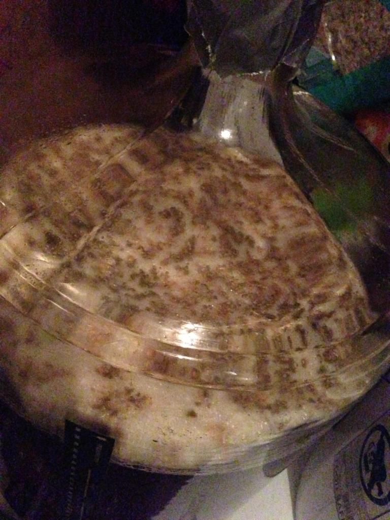 First Brew Mold in carboy? Community BeerAdvocate