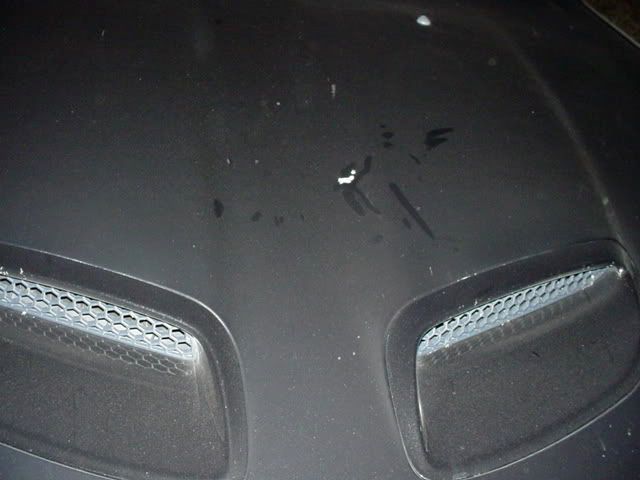 DSC01094.jpg