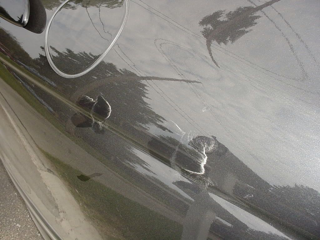 DSC02166.jpg