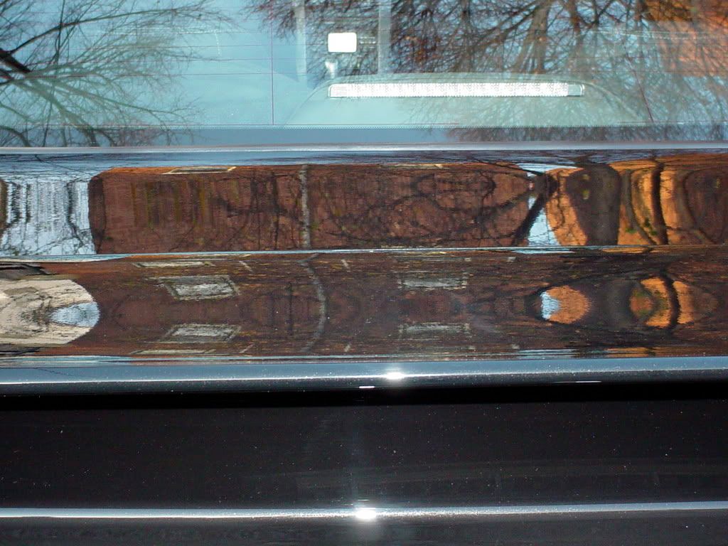 DSC02346.jpg