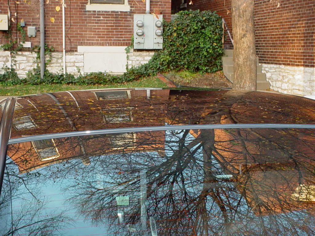 DSC02347.jpg