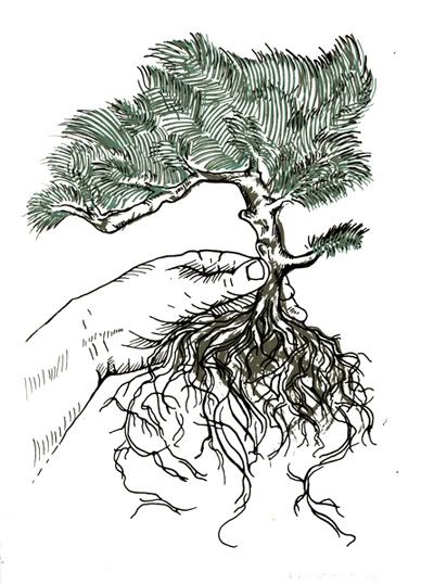 tree drawing with roots. tree drawing with roots.