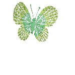 crazy green butterfly