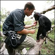 Eugene Cussons,Chimpanzee Eden,Escape to Chimp Eden,Chimp Eden