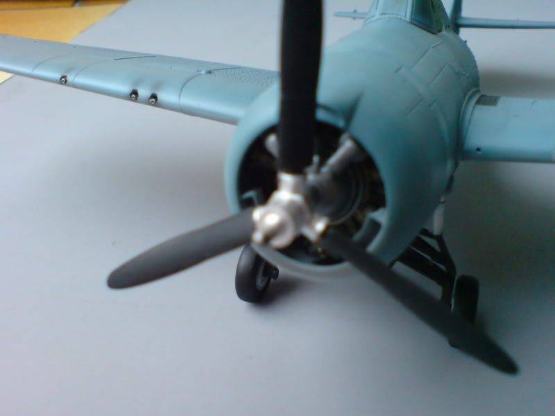 DSC00117.jpg