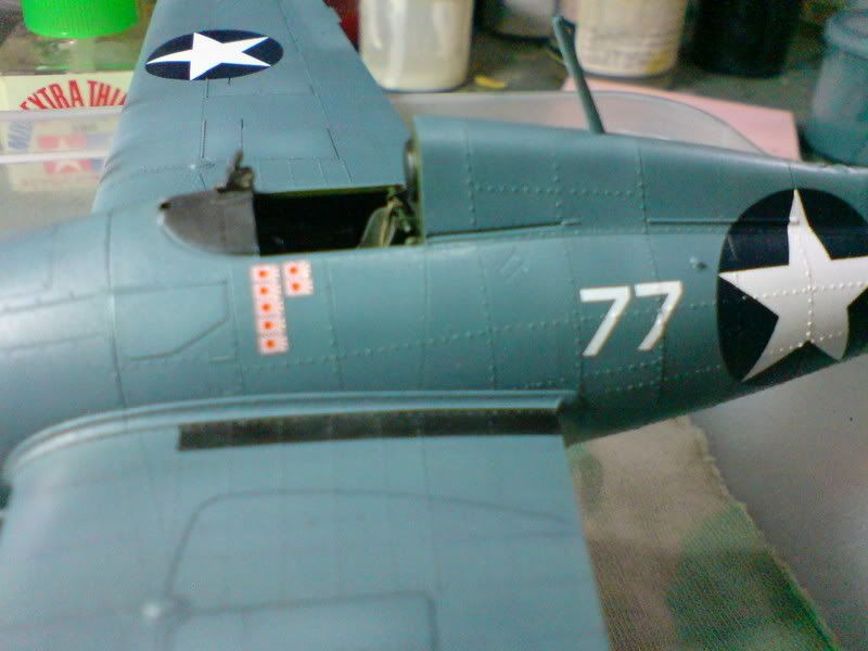 DSC00133.jpg