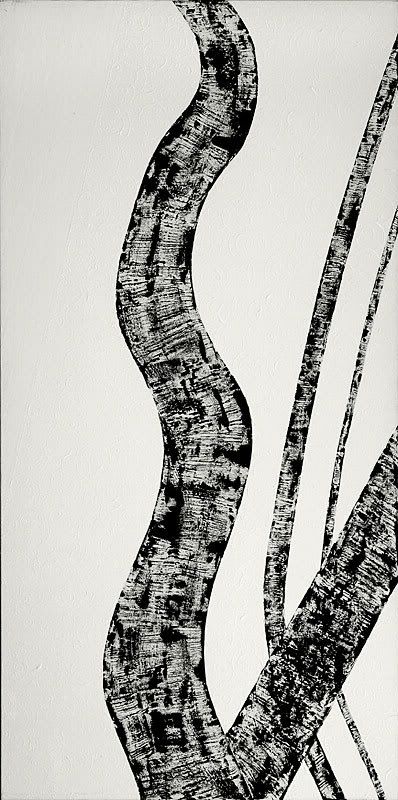 à l’orée de la forêt... 7486 - à l’orée de la forêt...