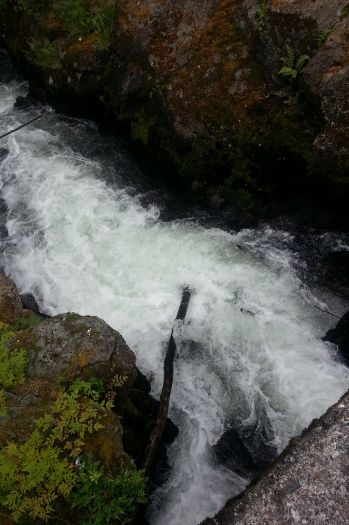 Ketchikan salmon ladder