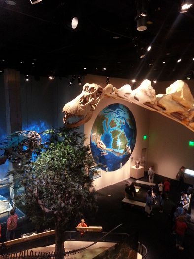 Perot Museum dinosaur