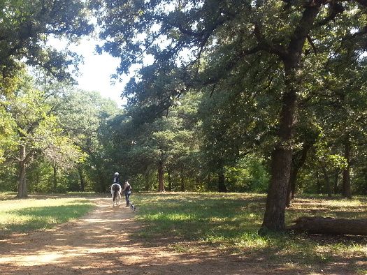 xo ranch horseback riding