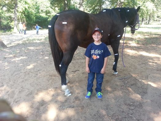 xo ranch horseback riding