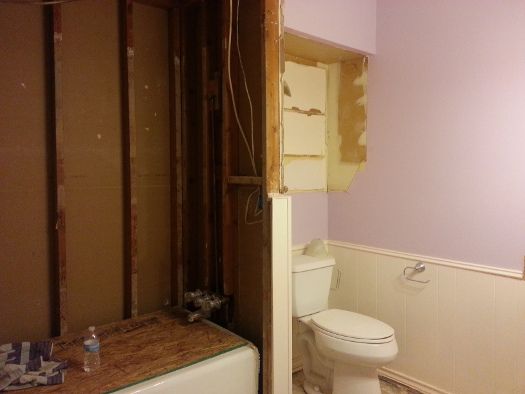 bathroom after tear-out