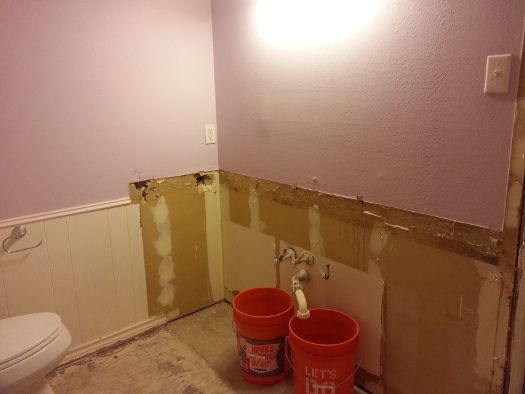 bathroom after tear-out