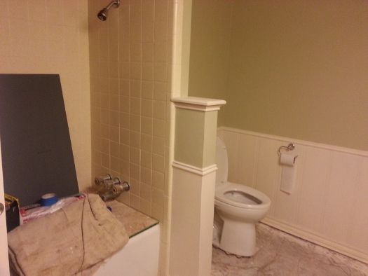 bathroom after tear-out