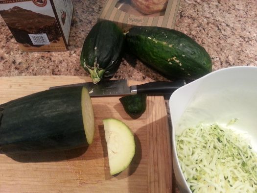 massive zucchini