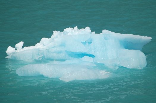 Tracy Arm iceberg