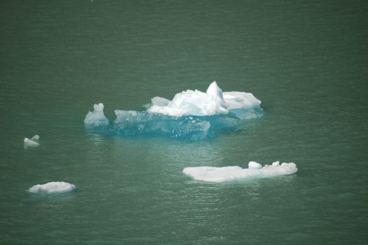 Tracy Arm iceberg