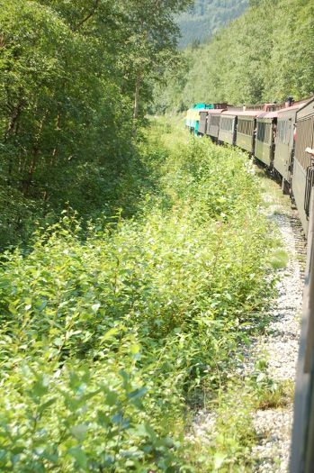 Skagway train ride