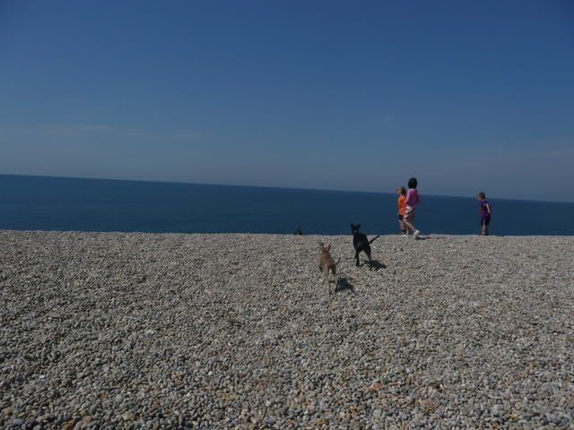 chesil006.jpg