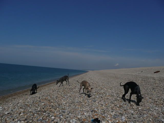 chesil014.jpg