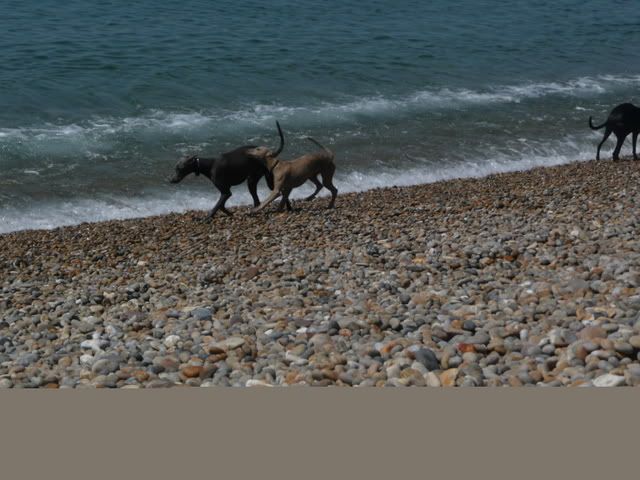 chesil030.jpg