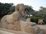 El diario de Parrinano - Blogs - Segundo viaje a Egipto Oct. 2.008 (95)