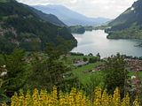 El diario de Parrinano - Blogs - Suiza-Selva Negra 2.009 (9)