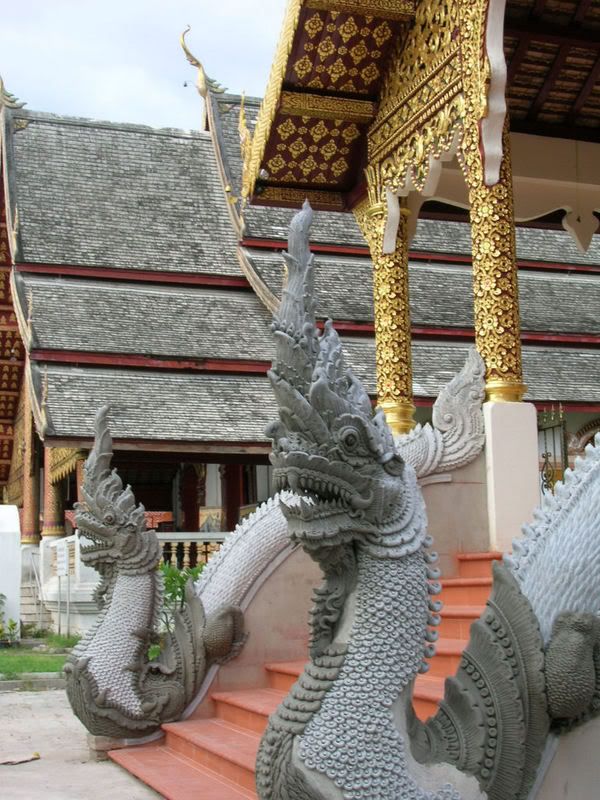 Viaje a Thailandia - Tribus del Norte - II - El diario de Parrinano (9)