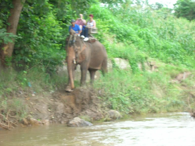 Viaje a Thailandia - Tribus del Norte - III - El diario de Parrinano (2)