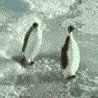 PenquinPush PenquinPush