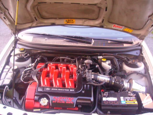 008-2.jpg
