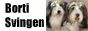 Borti svingen