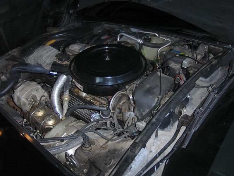 1980corvette_before_engine3.jpg