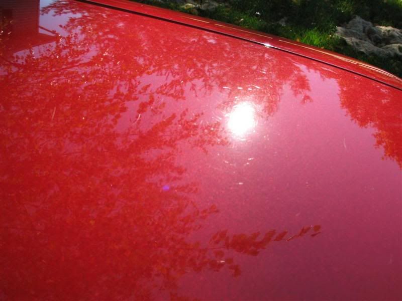 after_92accord_trunk1.jpg