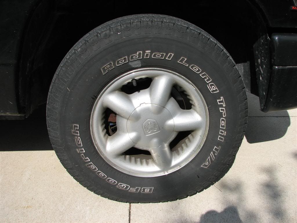 dakota_before_tire.jpg