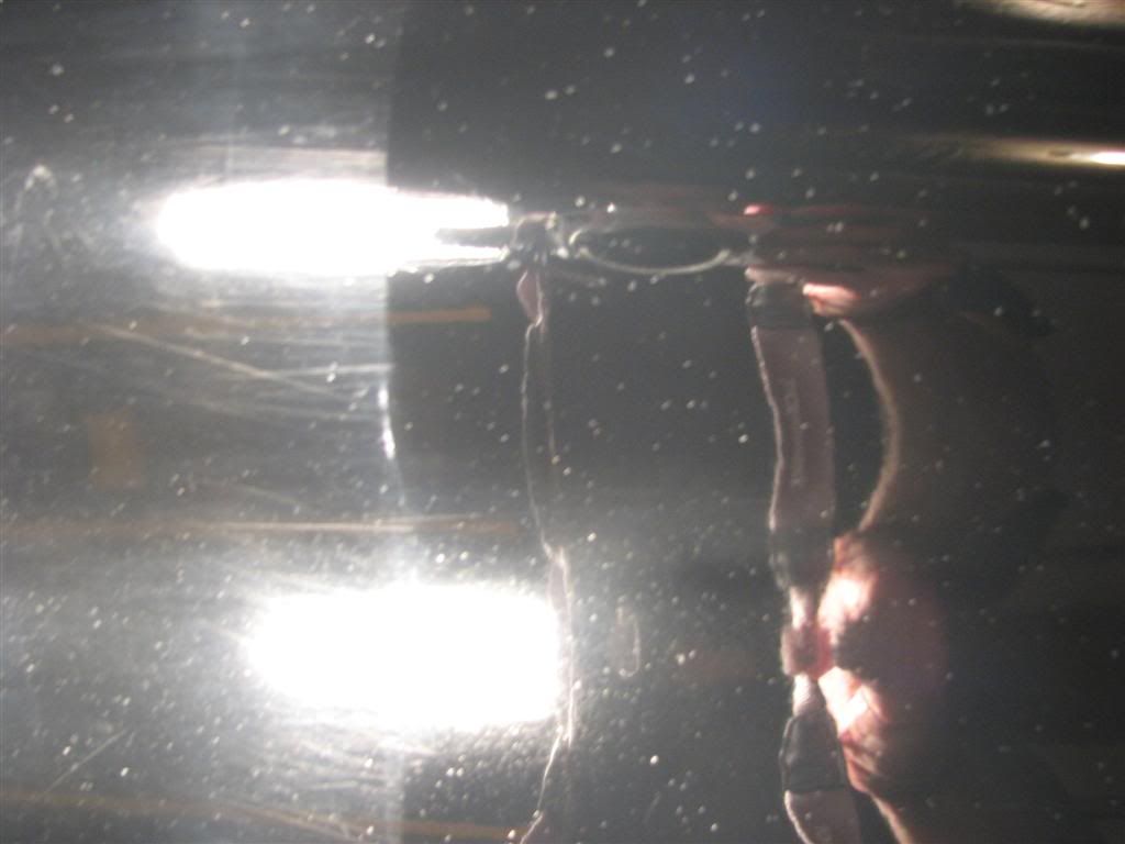 before_after_rodeo_quarterpanel2Lar.jpg