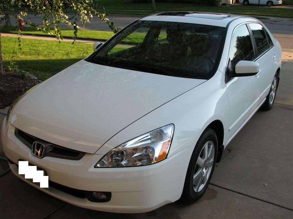 accord_after_profile1-1.jpg