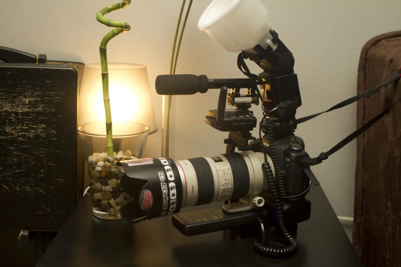 IMAGE: http://i86.photobucket.com/albums/k112/bighec45/Dancer_4.jpg