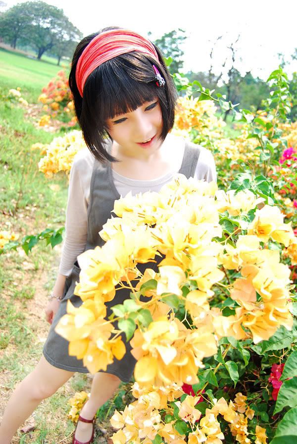 IPB Image