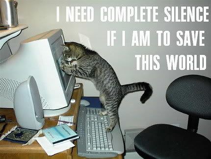 funny_cat_pictures_pc_3.jpg image by Sugarbear080974