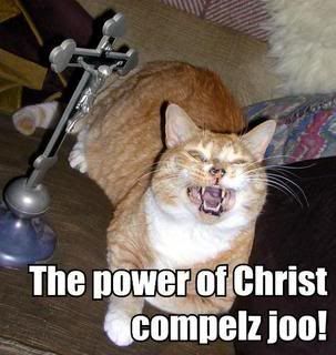 Power of Christ Cat Pictures, Images and Photos