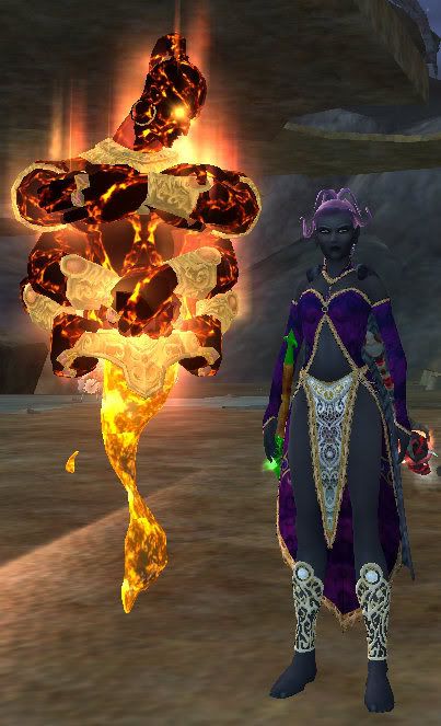 Mage Pet