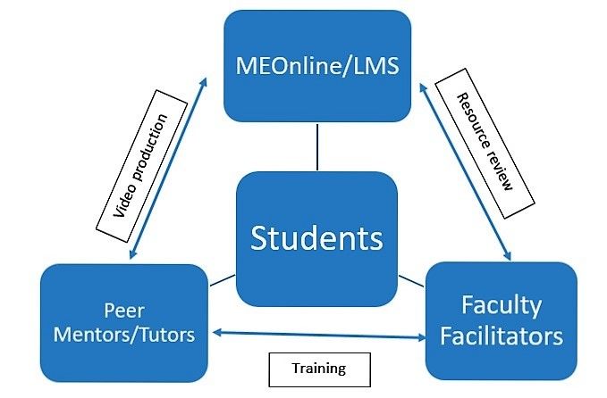 Relationships among students, peer mentors/tutors, faculty/facilitators and MEonline/LMS