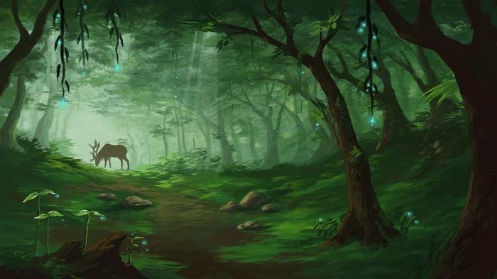 Forest-7_zpsfm5vus4e.jpg