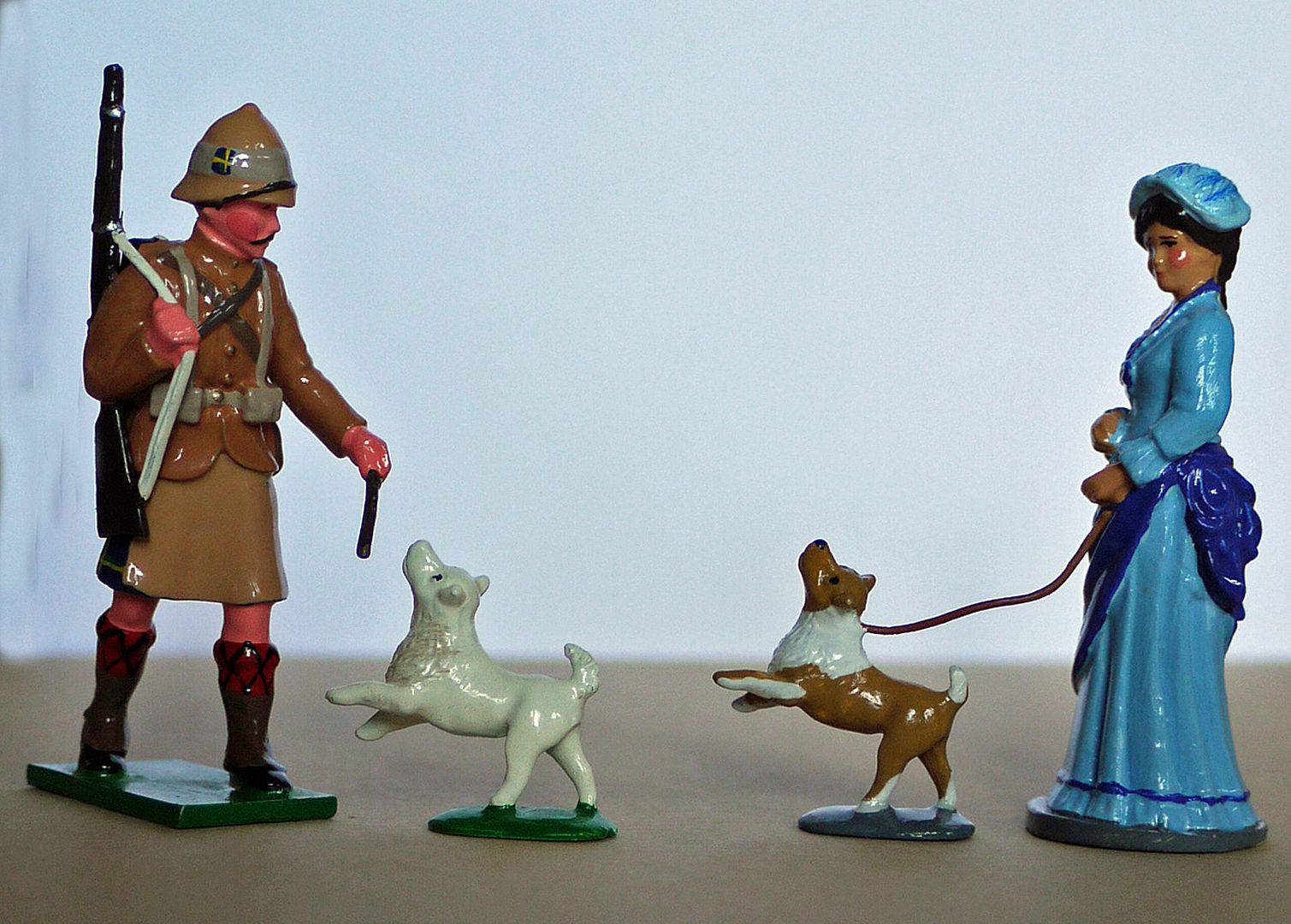 DOGS.jpg