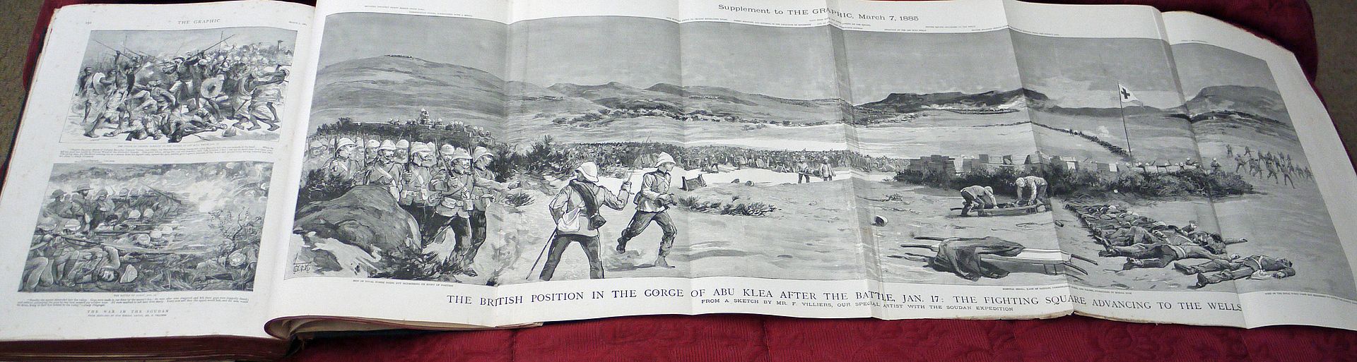 GRAPHIC1885ABOUKLEA.jpg