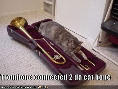 funny-pictures-trombone-cat.jpg