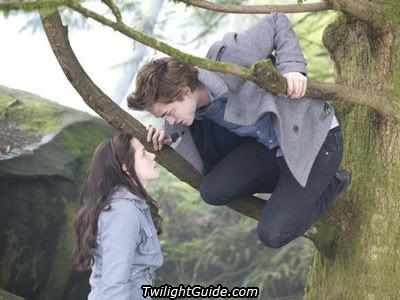 edward-tree-bella.jpg